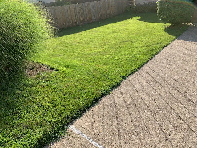 Reliable yard cleanup service in Blue Ash, OH by Top Lawn Companies