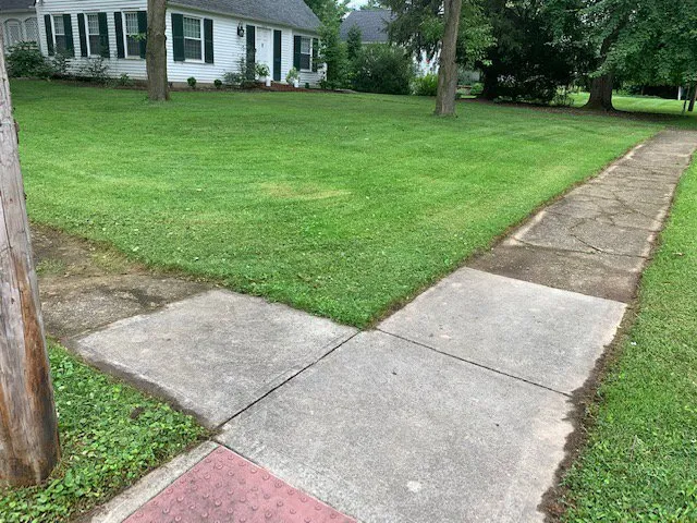 Local yard cleanup service in Blue Ash, OH - Top Lawn Companies