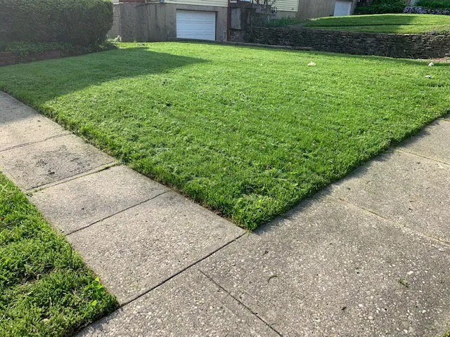 Affordable landscaping services experts serving Blue Ash, OH - Top Lawn Companies