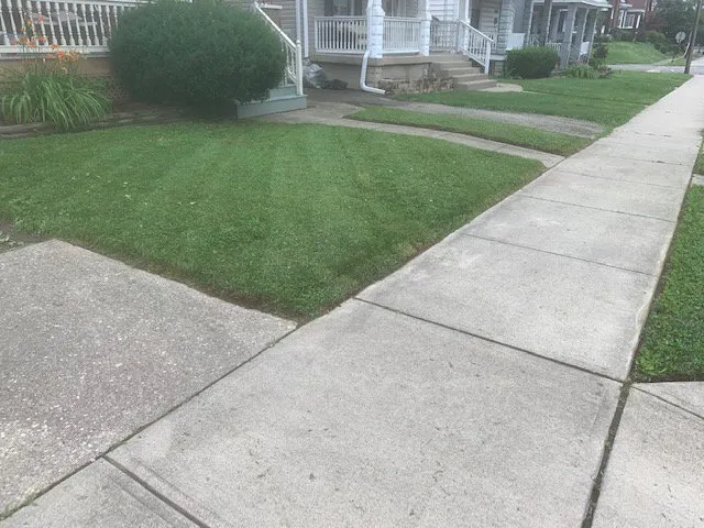 Expert yard maintenance for outdoor upgrades across Blue Ash, OH - Top Lawn Companies