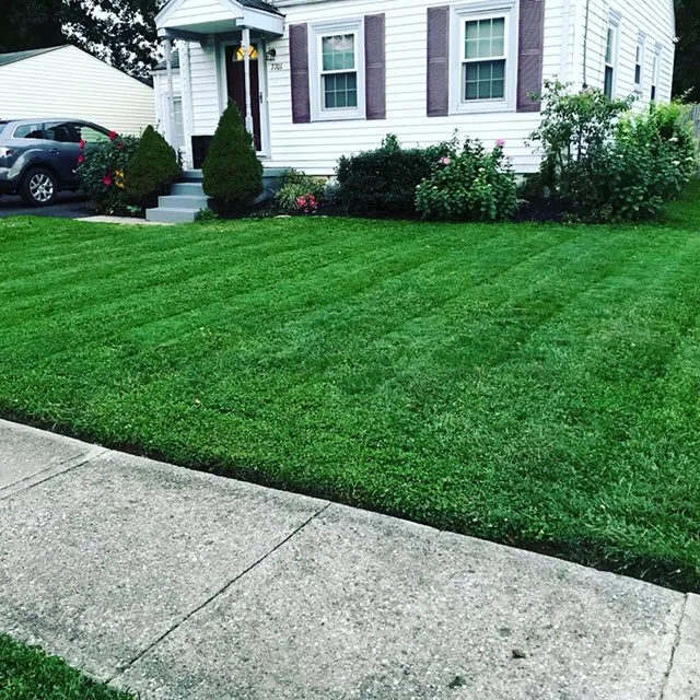 Affordable landscape installation experts serving Blue Ash, OH - Top Lawn Companies
