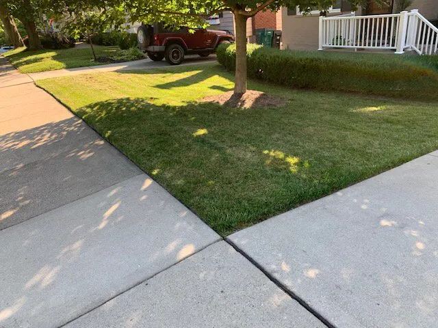 Expert residential landscaping with custom design in Blue Ash, OH by Top Lawn Companies