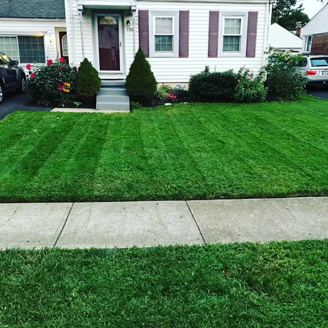 Affordable lawn care service for outdoor upgrades across Blue Ash, OH - Top Lawn Companies