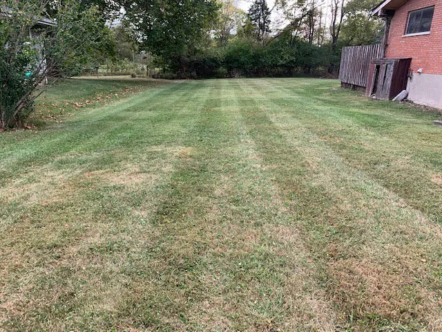 Custom garden landscaping in Blue Ash, OH by Top Lawn Companies