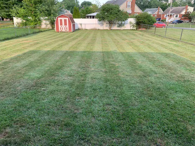 Reliable landscaping services experts serving Blue Ash, OH - Top Lawn Companies