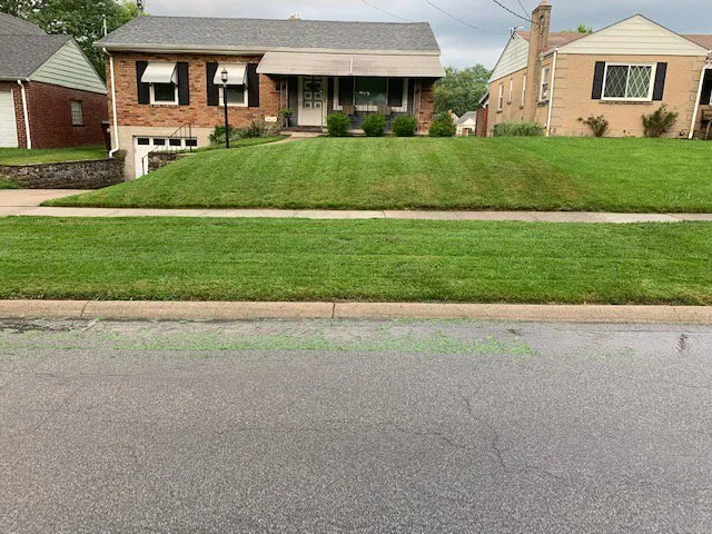 Reliable landscaping services for homes across Blue Ash, OH - Top Lawn Companies