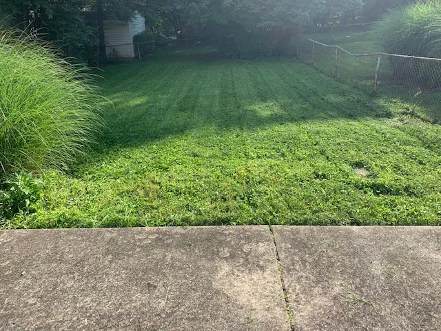 Affordable lawn mowing service experts serving Blue Ash, OH - Top Lawn Companies