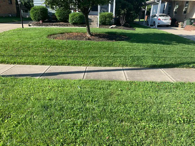 Custom landscape design in Blue Ash, OH by Top Lawn Companies