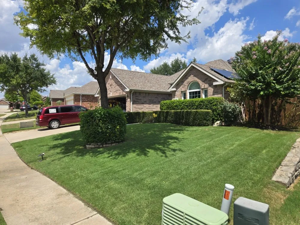 Expert landscape design in McKinney, TX by Top Lawn DFW