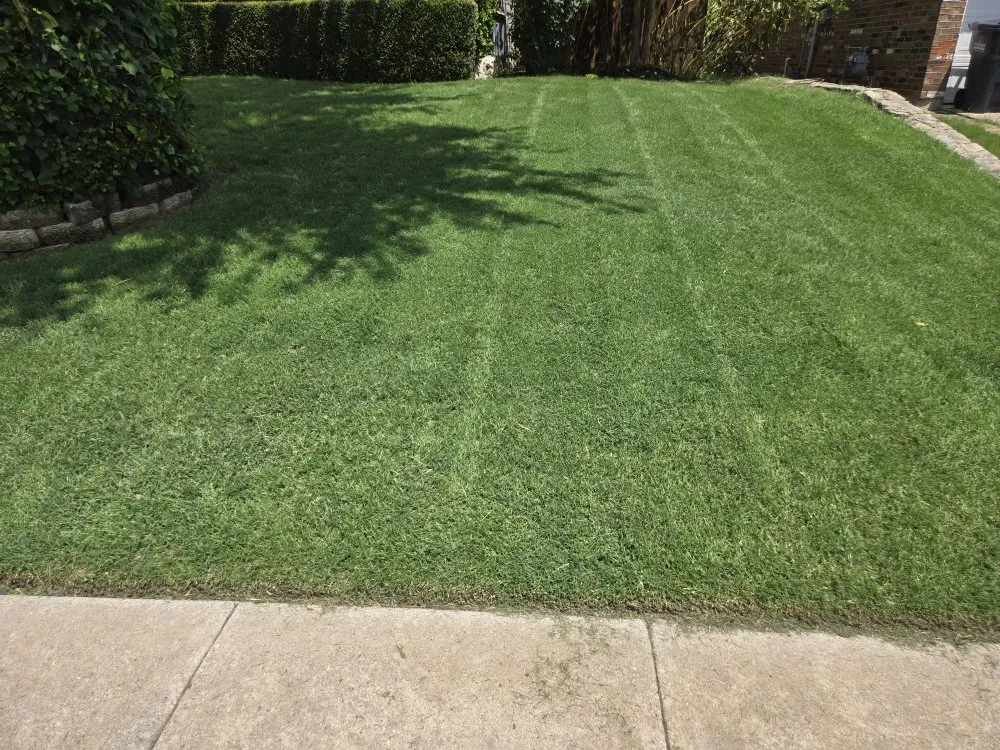 Local yard cleanup service for beautiful yards in McKinney, TX by Top Lawn DFW