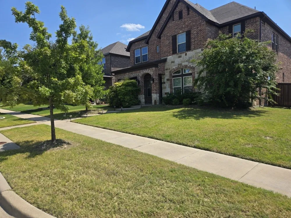 Professional landscape installation in McKinney, TX - Top Lawn DFW