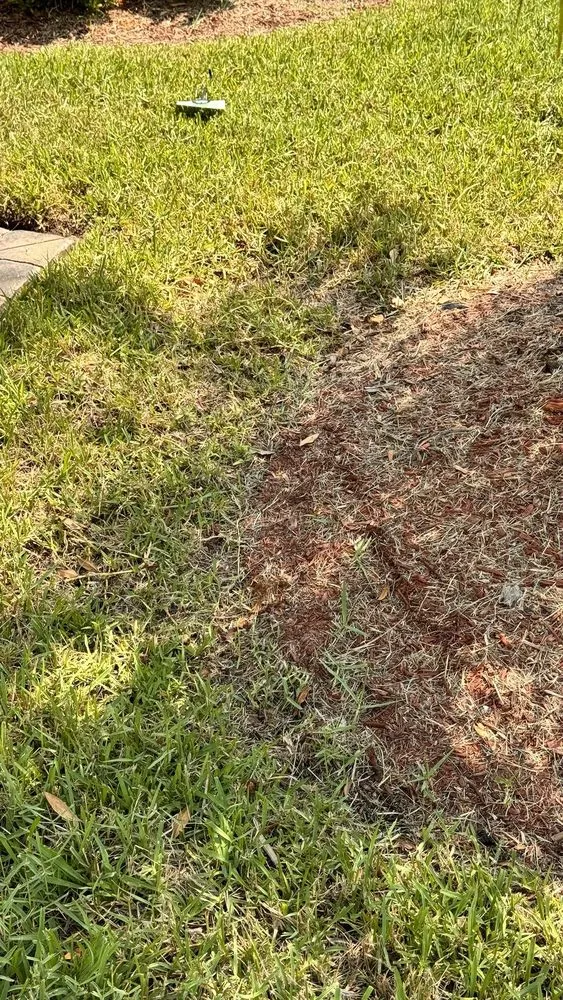 Affordable garden landscaping experts serving Riverview, FL - Top Lawn Pros