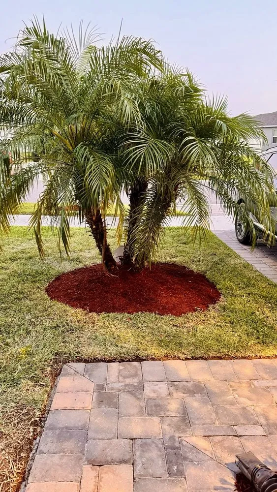 Affordable residential landscaping for homes in Riverview, FL by Top Lawn Pros