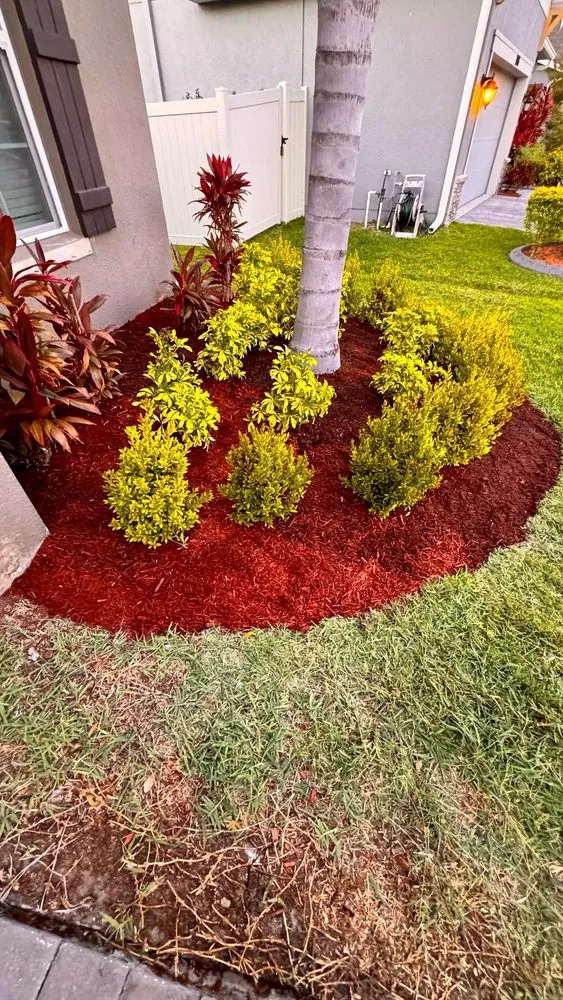 Expert landscape installation for beautiful yards across Riverview, FL - Top Lawn Pros