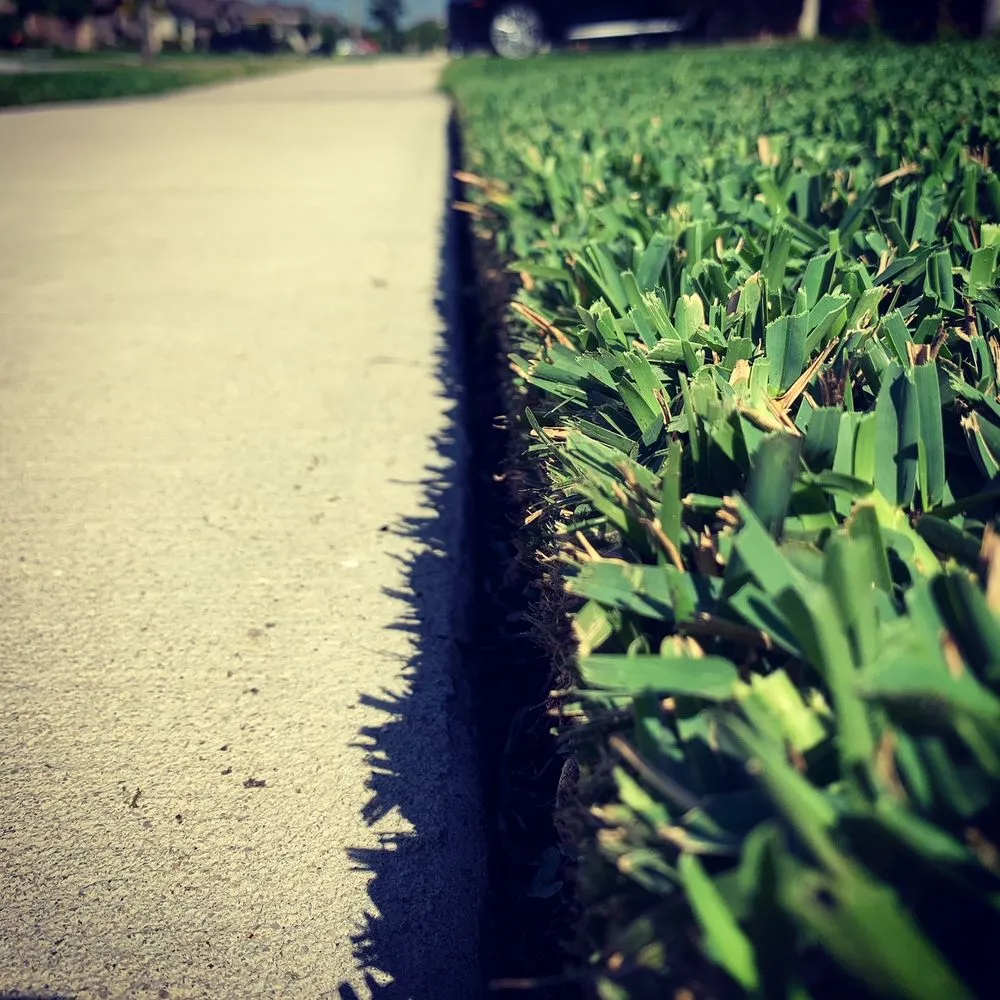 Local landscaping services for beautiful yards in Riverview, FL by Top Lawn Pros