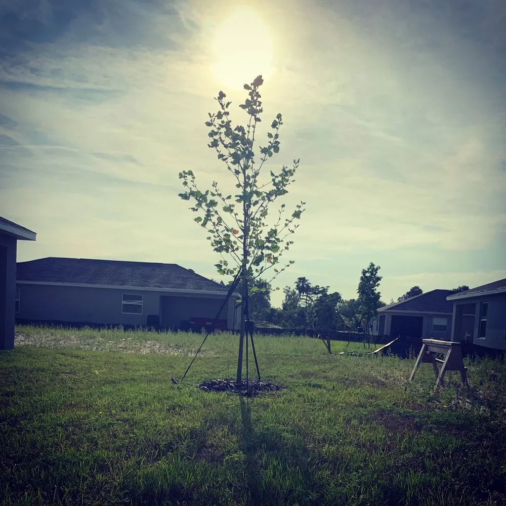 Affordable garden landscaping experts serving Riverview, FL - Top Lawn Pros