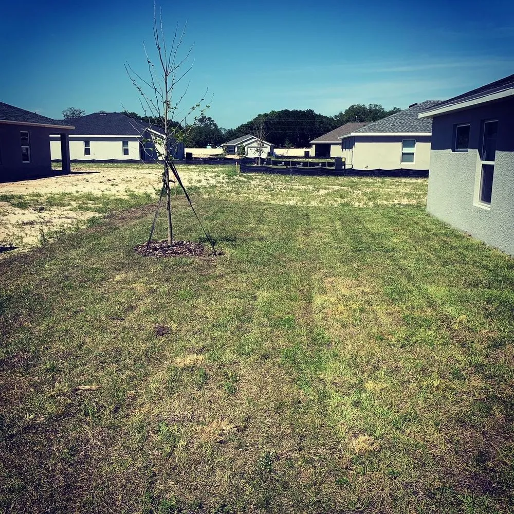 Local landscape installation in Riverview, FL by Top Lawn Pros