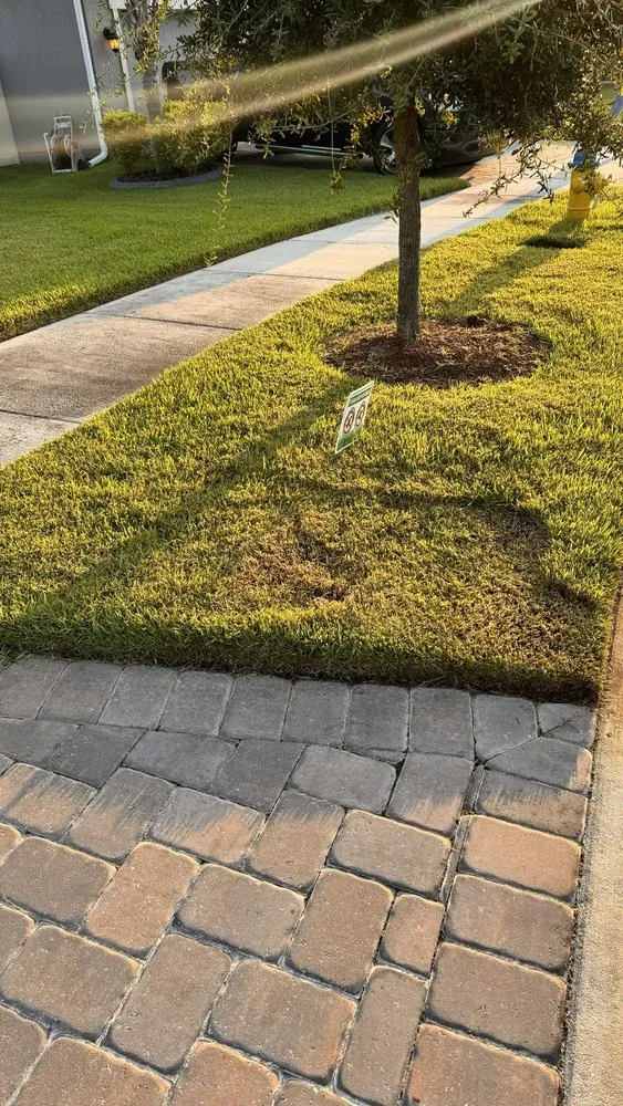 Professional landscape design for beautiful yards in Riverview, FL by Top Lawn Pros