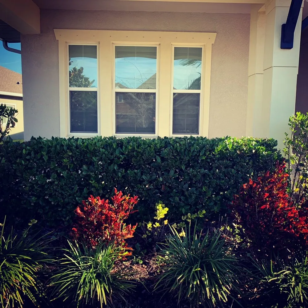 Professional lawn mowing service experts serving Riverview, FL - Top Lawn Pros