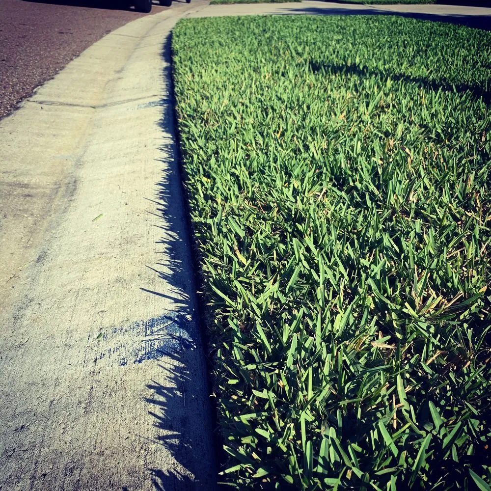 Expert landscaping services with custom design in Riverview, FL by Top Lawn Pros