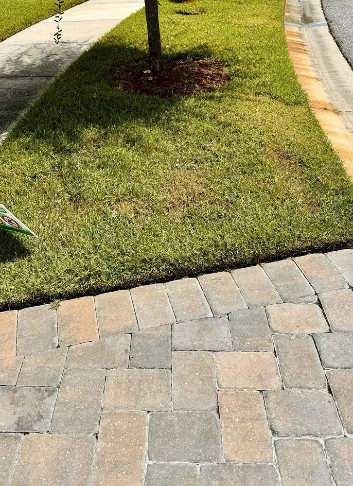 Custom yard cleanup service in Riverview, FL - Top Lawn Pros