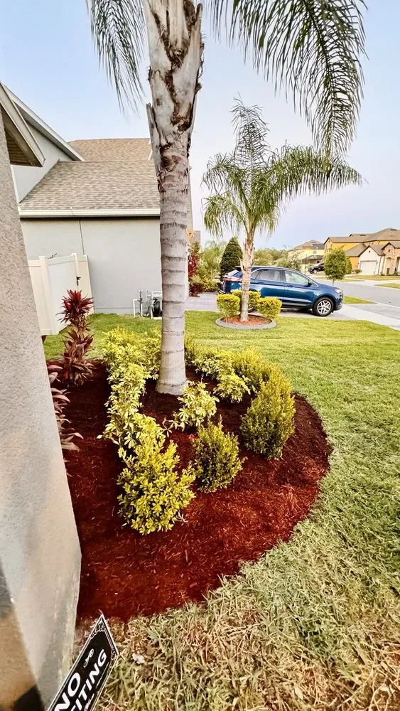 Trusted yard maintenance for outdoor upgrades in Riverview, FL by Top Lawn Pros