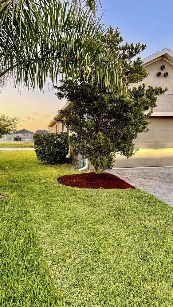 Professional yard maintenance in Riverview, FL by Top Lawn Pros