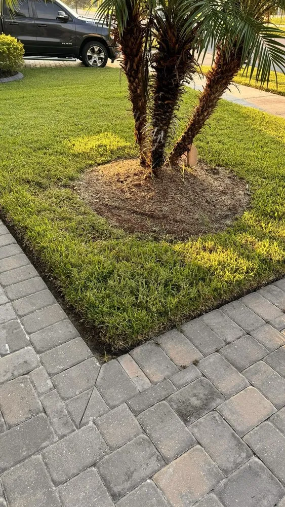 Affordable yard cleanup service in Riverview, FL - Top Lawn Pros