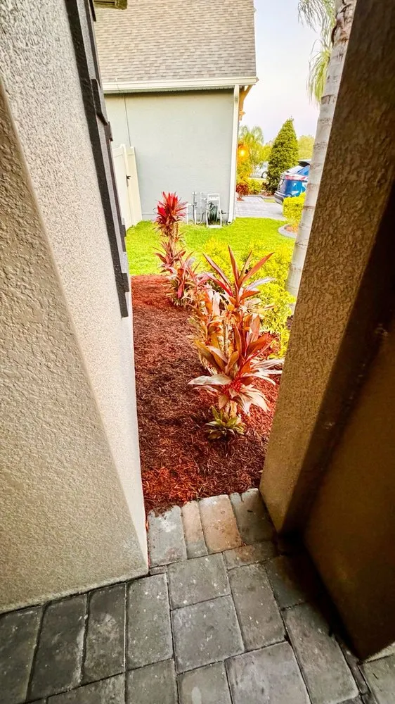 Expert garden landscaping experts serving Riverview, FL - Top Lawn Pros