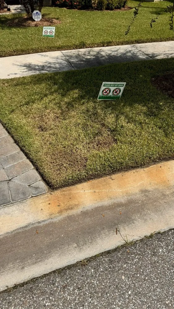 Expert lawn care service for residential properties in Riverview, FL by Top Lawn Pros