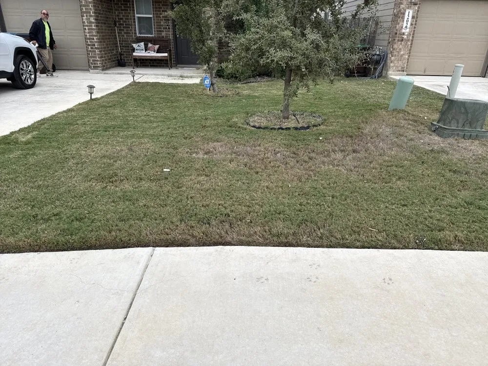 Affordable lawn care service experts serving San Antonio, TX - Top Lawn Service