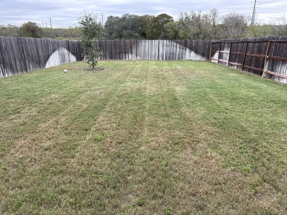 Professional landscape design in San Antonio, TX - Top Lawn Service