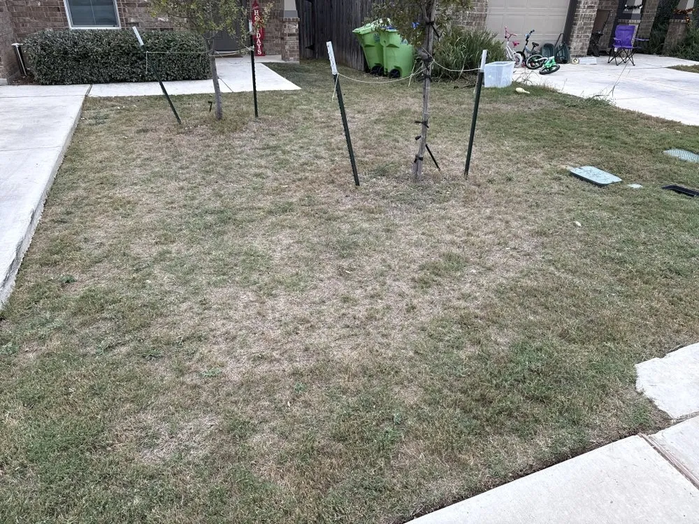Top-rated outdoor landscaping near you in San Antonio, TX by Top Lawn Service