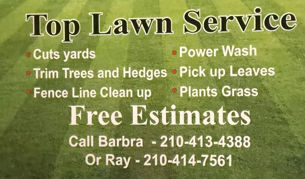 Custom yard maintenance experts serving San Antonio, TX - Top Lawn Service