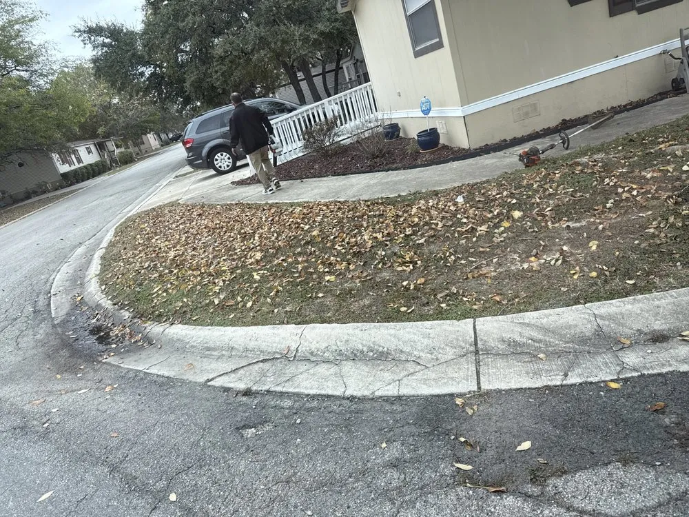 Custom yard cleanup service in San Antonio, TX by Top Lawn Service