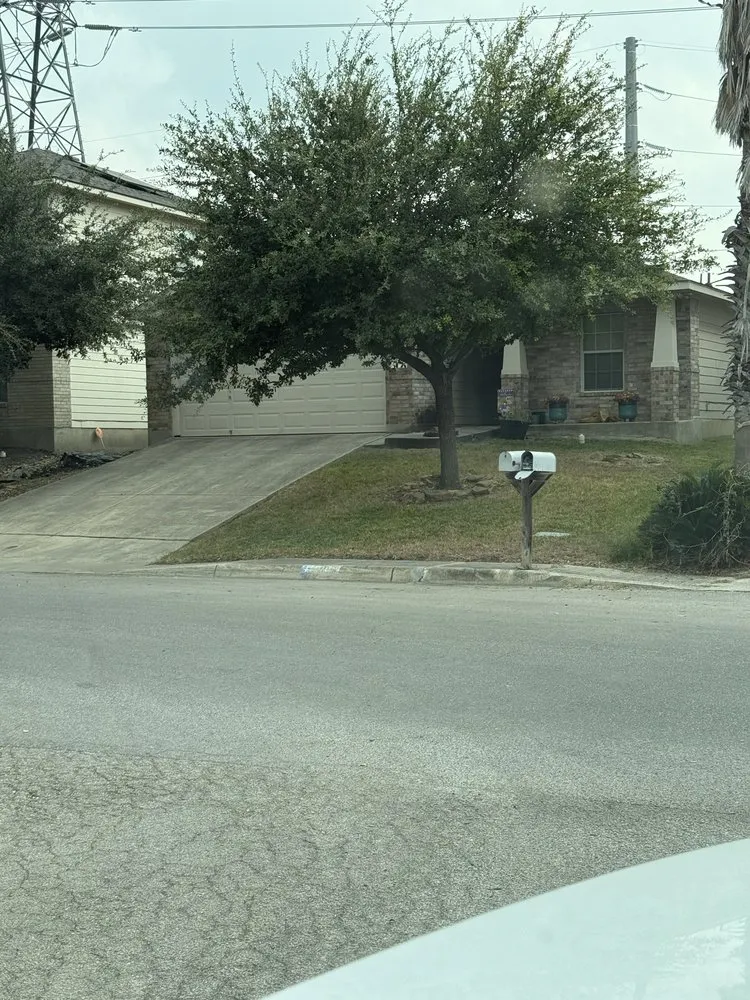 Affordable lawn care service experts serving San Antonio, TX - Top Lawn Service