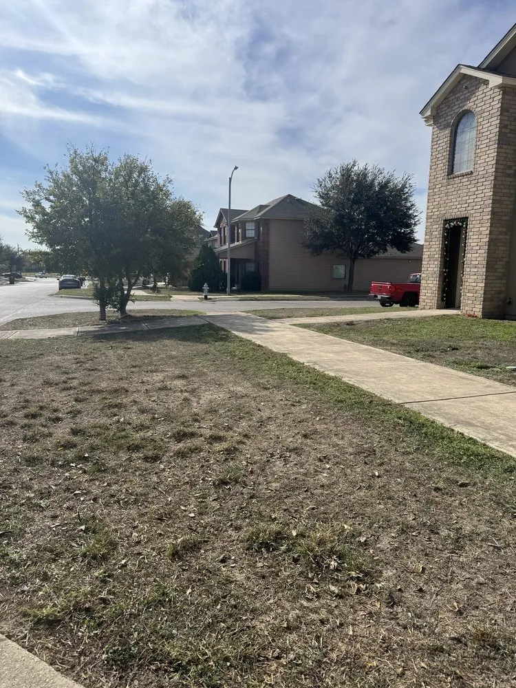 Trusted landscape design near you in San Antonio, TX by Top Lawn Service