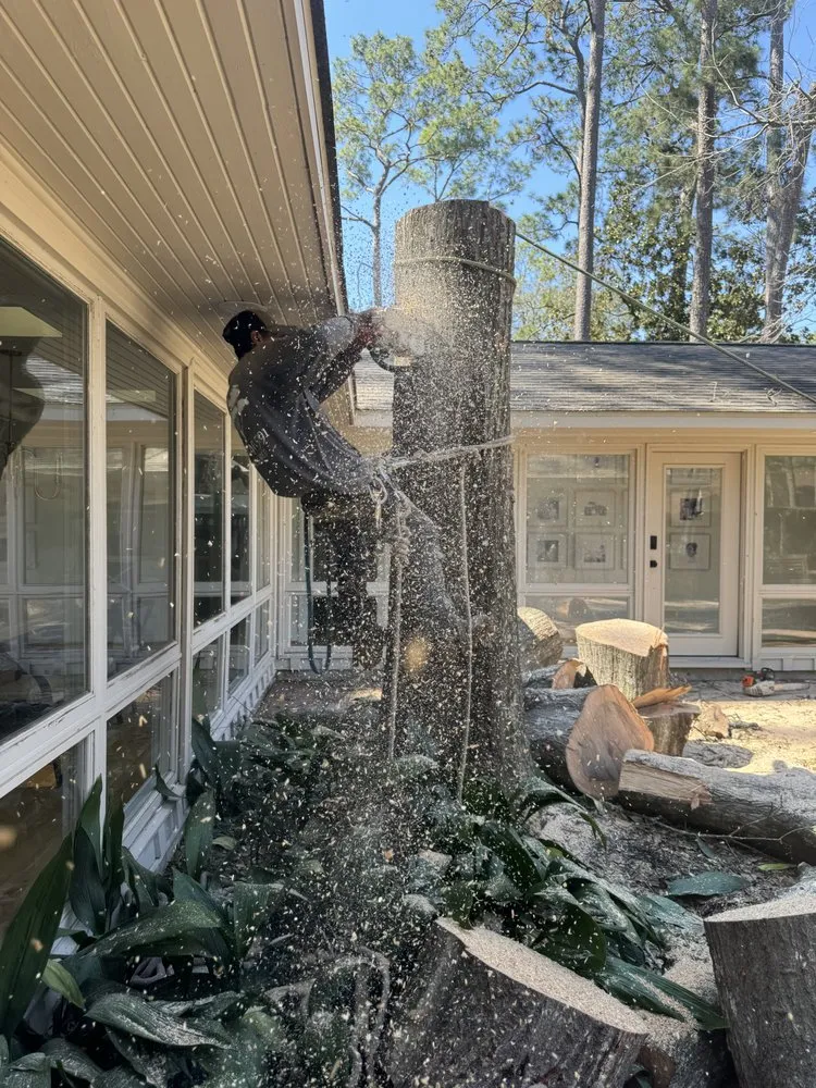 Trusted landscape installation in Brookshire, TX - Top Line Arbor Care