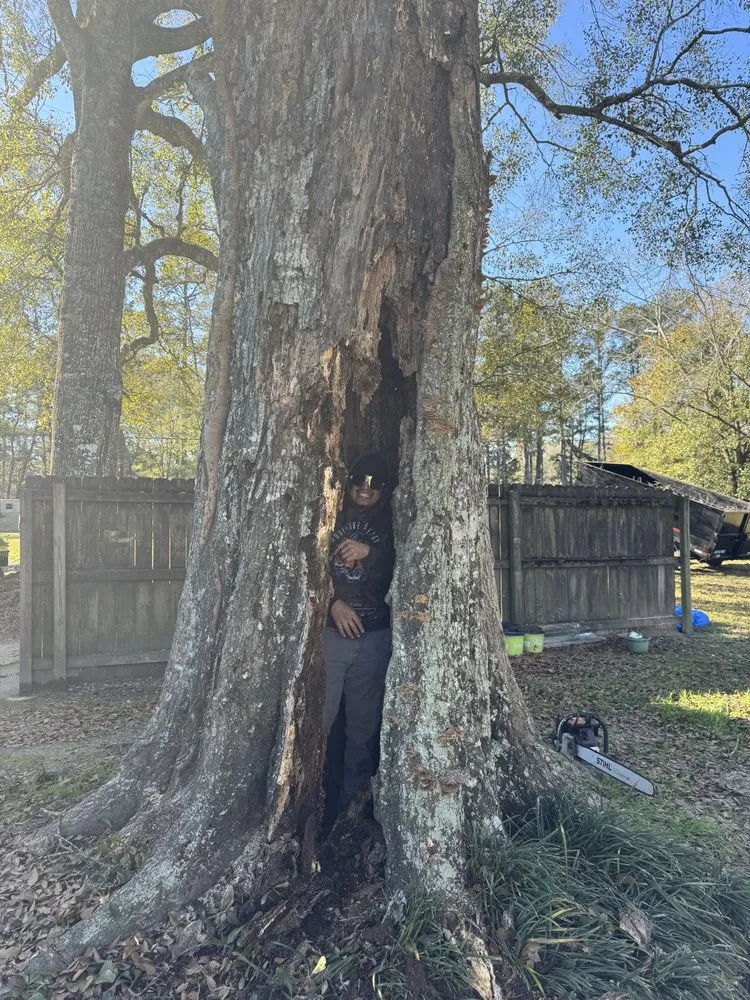 Local landscape design for homes in Brookshire, TX by Top Line Arbor Care