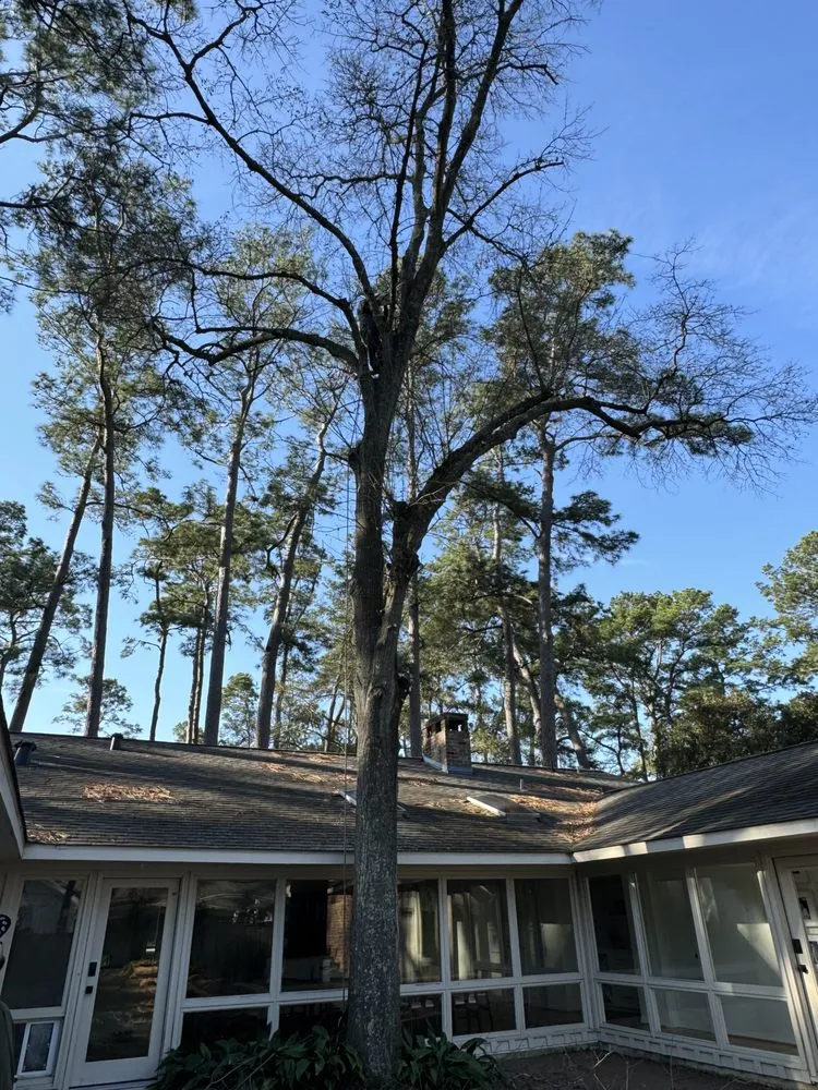 Top-rated landscape design in Brookshire, TX by Top Line Arbor Care