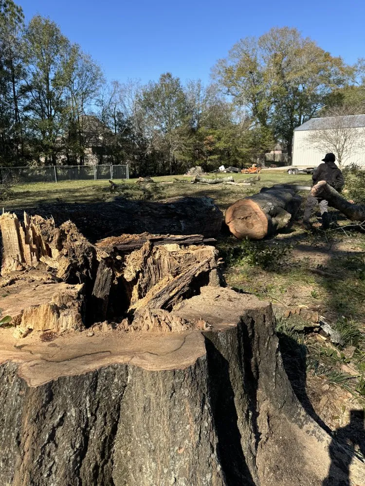 Professional lawn mowing service in Brookshire, TX by Top Line Arbor Care