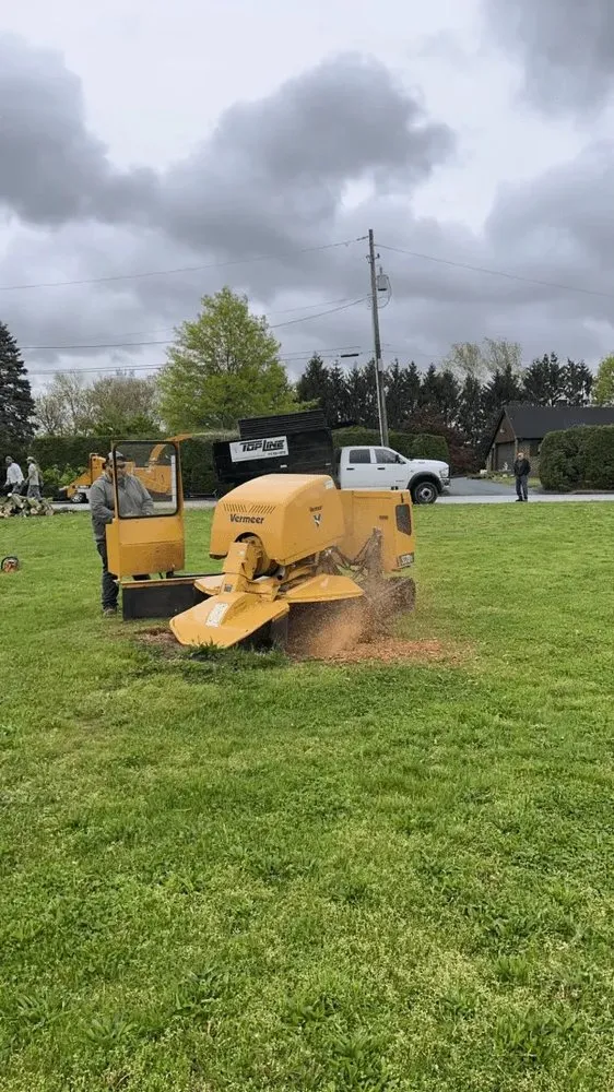 Trusted landscape installation for homes across Mechanicsburg, PA - Top Line Landscaping & Tree Service