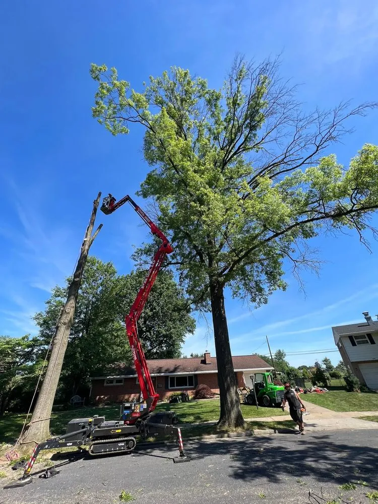 Local lawn mowing service in Mechanicsburg, PA - Top Line Landscaping & Tree Service