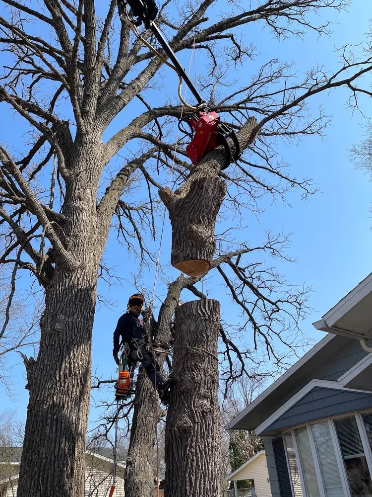 Professional landscaping services experts serving East Palo Alto, CA - Top Line Landscaping