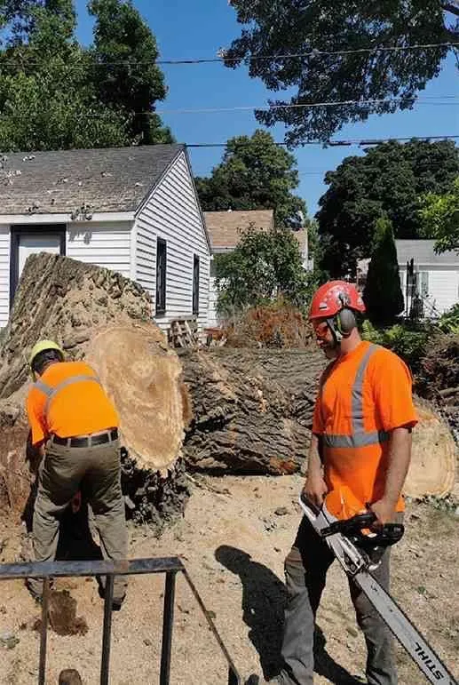 Custom landscaping services with custom design across East Palo Alto, CA - Top Line Landscaping