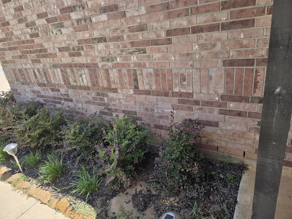 Professional landscape design with custom design in Texas City, TX by Top Line Lawn Care