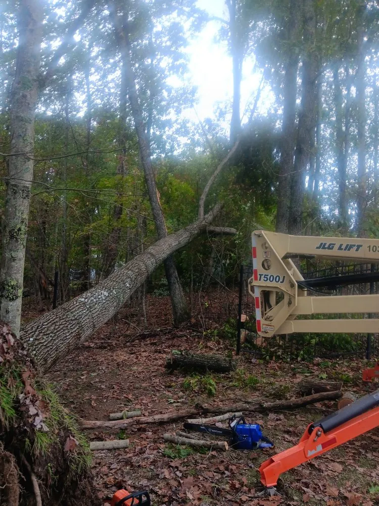 Reliable yard maintenance for beautiful yards across Beckley, WV - Top Line Tree Service