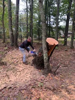 Affordable yard cleanup service experts serving Beckley, WV - Top Line Tree Service