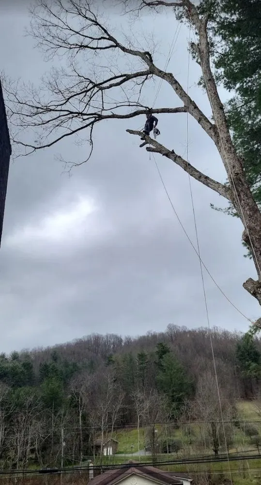 Local garden landscaping experts serving Beckley, WV - Top Line Tree Service
