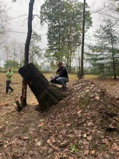 Local garden landscaping in Beckley, WV - Top Line Tree Service